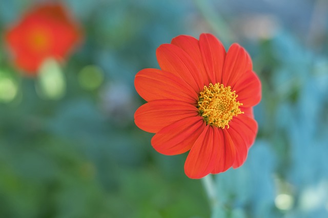 意甲第14輪尤文圖斯0-1亞特蘭大 薩帕塔破門迪巴拉中框.