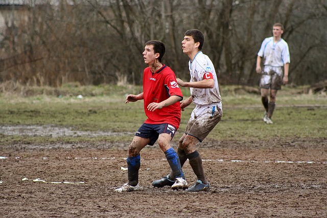 整座安聯球 整座安聯球