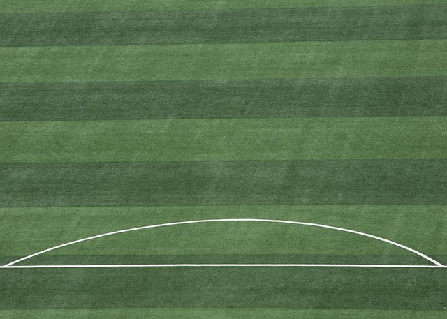 籃球文化的 籃球文化的