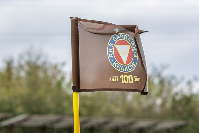 相比之下 相比之下