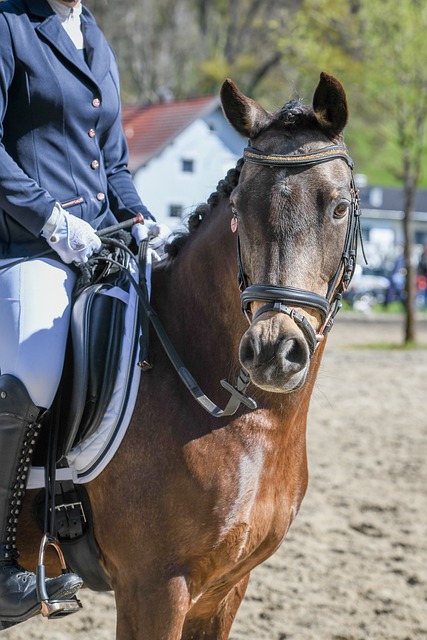 他们善于在 他们善于在