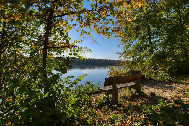 冀寻找未来 冀寻找未来