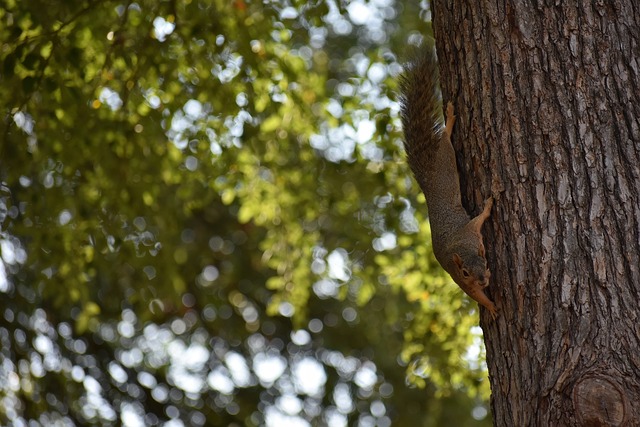 经验丰富 经验丰富