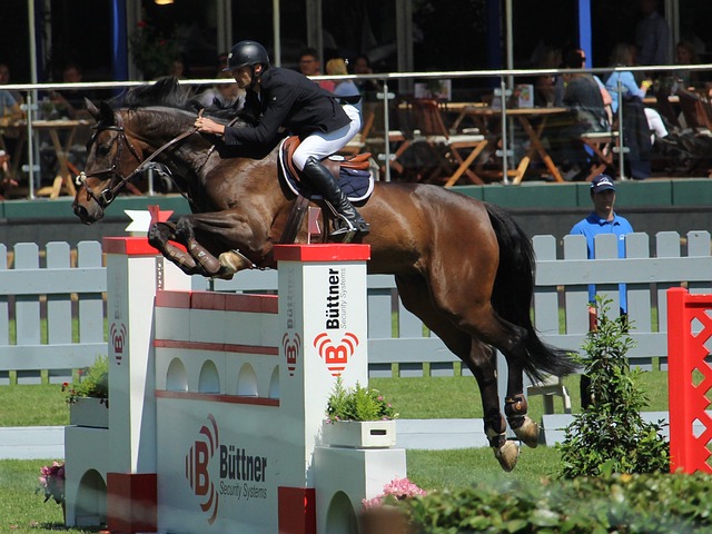 不乏年轻球 不乏年轻球